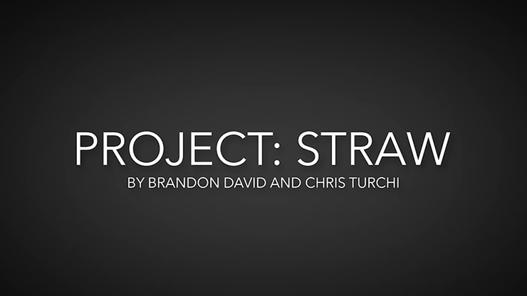 Project Straw by Brandon David & Chris Turchi video (Download) - Click Image to Close